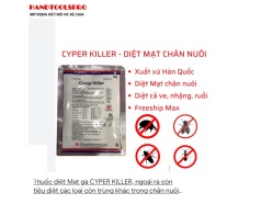 Thuốc diệt côn trùng gián, kiến, muỗi cho gia đình 30g cyber killer (made in Korea)