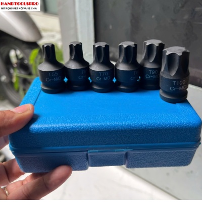 Bộ tuýp đen mũi sao 1/2 6 chi tiết T55-T100